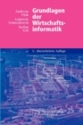 Grundlagen Der Wirtschaftsinformatik - Book