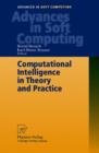 Computational Intelligence in Theory and Practice - Book
