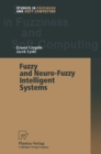 Fuzzy and Neuro-Fuzzy Intelligent Systems - eBook