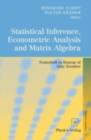 Statistical Inference, Econometric Analysis and Matrix Algebra : Festschrift in Honour of Gotz Trenkler - eBook