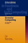 Granular Computing : An Emerging Paradigm - Book