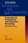 Propositional, Probabilistic and Evidential Reasoning : Integrating Numerical and Symbolic Approaches - Book