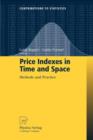 Price Indexes in Time and Space : Methods and Practice - Book