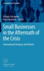 Small Businesses in the Aftermath of the Crisis : International Analyses and Policies - Book