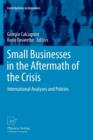 Small Businesses in the Aftermath of the Crisis : International Analyses and Policies - Book