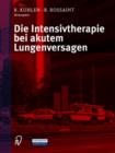 Die Intensivtherapie Bei Akutem Lungenversagen - Book