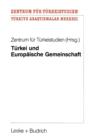 Turkei Und Europaische Gemeinschaft : Eine Untersuchung Zu Positiven Aspekten Eines Potentiellen Eg-Beitritts Der Turkei Fur Die Europaische Gemeinschaft - Book