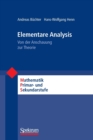Elementare Analysis : Von der Anschauung Zur Theorie - Book