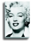 Silver Marilyn : Marilyn and the Camera - Book