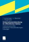 Unternehmensberatung im offentlichen Sektor : Institutionenkonflikt, praktische Herausforderungen, Losungen - Book