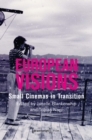 European Visions : Small Cinemas in Transition - Book