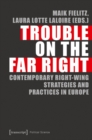 Trouble on the Far Right : National Strategies and Local Practices Challenging Europe - Book