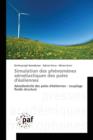 Simulation Des Phenomenes Aeroelastiques Des Pales d'Eoliennes - Book