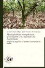 Phytophthora Megakarya, Pathogene Du Cacaoyer Au Cameroun - Book