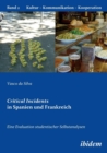 Critical Incidents in Spanien Und Frankreich. Eine Evaluation Studentischer Selbstanalysen. - Book