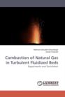 Combustion of Natural Gas in Turbulent Fluidized Beds - Book