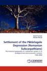 Settlement of the P Tarlagele Depression (Romanian Subcarpathians) - Book