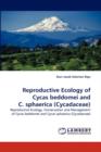 Reproductive Ecology of Cycas Beddomei and C. Sphaerica (Cycadaceae) - Book