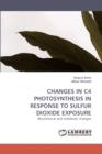 Changes in C4 Photosynthesis in Response to Sulfur Dioxide Exposure - Book