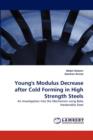 Young's Modulus Decrease After Cold Forming in High Strength Steels - Book