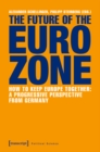 The Future of the Eurozone : How to Keep Europe Together: A Progressive Perspective from Germany - eBook