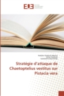 Strategie d'attaque de Chaetoptelius vestitus sur Pistacia vera - Book