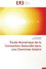 tude Num rique de la Convection Naturelle Dans Une Chemin e Solaire - Book
