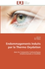 Endommagements Induits Par La Thermo Oxydation - Book
