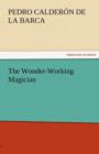 The Wonder-Working Magician - Book