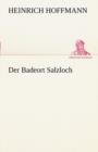 Der Badeort Salzloch - Book