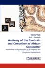 Anatomy of the Forebrain and Cerebellum of African Grasscutter - Book