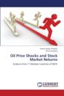 Oil Price Shocks and Stock Market Returns - Book