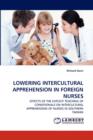 Lowering Intercultural Apprehension in Foreign Nurses - Book