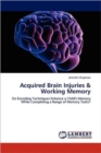 Acquired Brain Injuries & Working Memory - Book