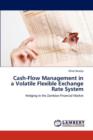 Cash-Flow Management in a Volatile Flexible Exchange Rate System - Book
