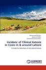 Incidenc of Clinical Ketosis in Cows in & Around Lahore - Book