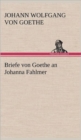 Briefe Von Goethe an Johanna Fahlmer - Book