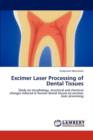 Excimer Laser Processing of Dental Tissues - Book