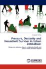 Pressure, Dexterity and Household Survival in Urban Zimbabwe - Book