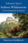 Schloss Wildenstein (Grossdruck) : Eine Erzahlung fur die Jugend - Book