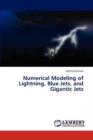 Numerical Modeling of Lightning, Blue Jets, and Gigantic Jets - Book