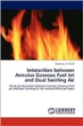 Interaction Between Annulus Gaseous Fuel Jet and Dual Swirling Air - Book