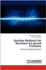 Iterative Methods for Nonlinear Ill-Posed Problems - Book