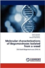 Molecular Characterizations of Begomoviruses Isolated from a Weed - Book