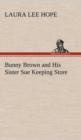 Bunny Brown and His Sister Sue Keeping Store - Book