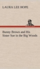 Bunny Brown and His Sister Sue in the Big Woods - Book