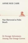 Nan Sherwood at Palm Beach or Strange Adventures Among the Orange Groves - Book