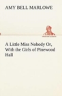 A Little Miss Nobody Or, with the Girls of Pinewood Hall - Book