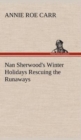 Nan Sherwood's Winter Holidays Rescuing the Runaways - Book