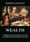 Wealth: A Brief Explanation of the Causes of Economic Wealth - eBook